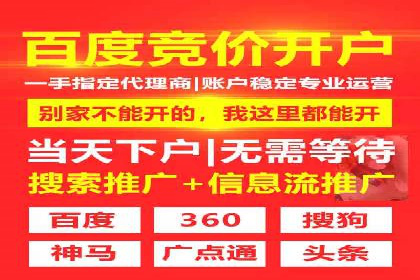 如何在sem竞价托管中取得卓越效果——案例解读